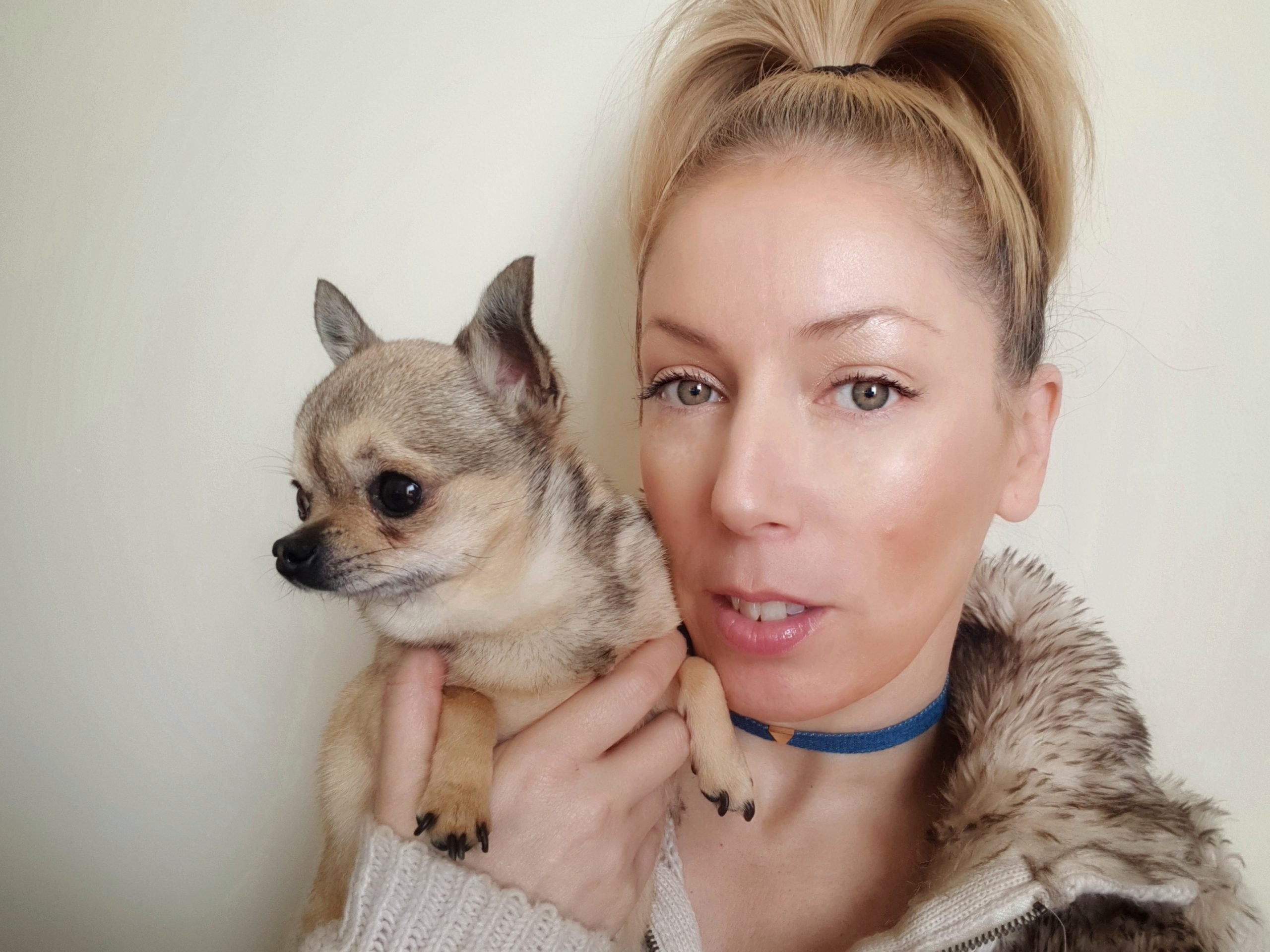 The Ultimate Guide on Your Dog’s Cleaning | Style & Life by Susana The Ultimate Guide on Your Dog’s Cleaning | Style & Life by Susana